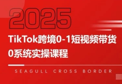 大亿老师·TikTok跨境0-1短视频带货-hl998