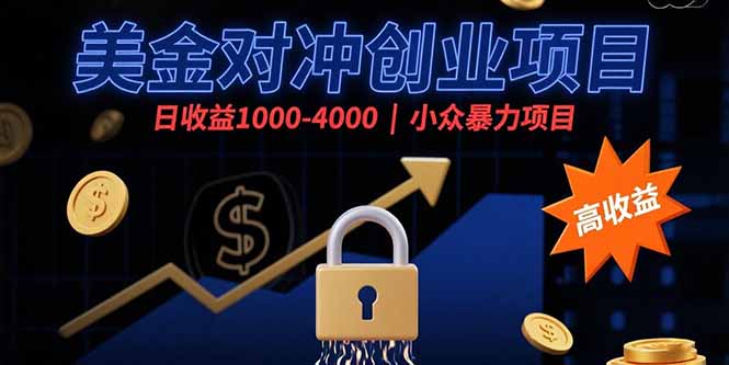美金对冲创业项目，日收益1000-4000，小众暴力项目-hl998