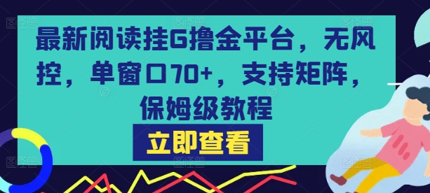 最新阅读挂G撸金平台，无风控，单窗口70+，支持矩阵，保姆级教程【揭秘】-hl998