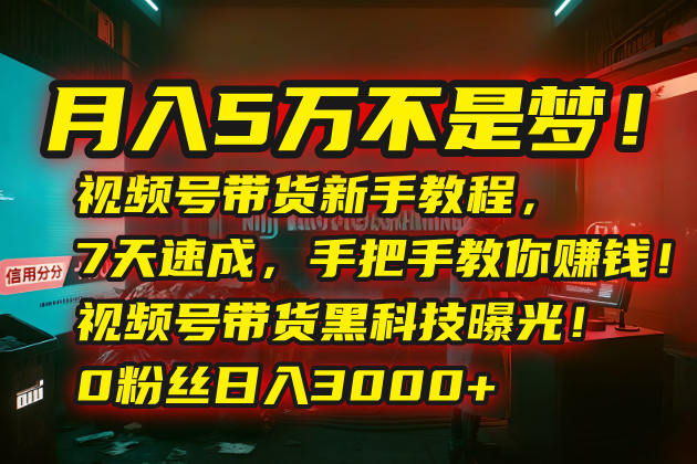 月入5万不是梦！视频号带货新手教程，7天速成，手把手教你赚钱！视频号...-hl998