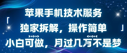 苹果手机技术服务，独家拆解，操作简单，小白可做，月过1W不是梦-hl998