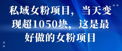 私域女粉项目，当天变现超1k，这是最好做的女粉项目，可放大操作-hl998