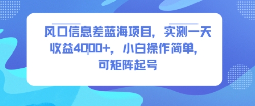 风口信息差蓝海项目，实测一天收益4k+，小白操作简单，可矩阵起号-hl998