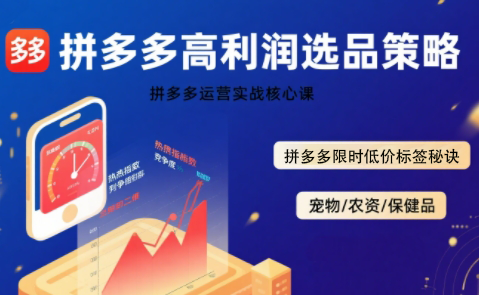 久号老师·拼多多选品暴利技术实战课-hl998