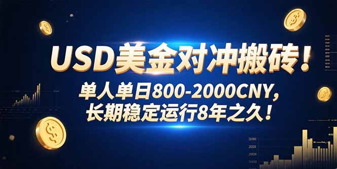 USD美金对冲搬砖!单人单日800-2000CNY，长期稳定运行8年之久!-hl998