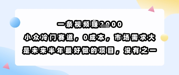 一条视频挣1k，小众冷门赛道，0成本，市场需求大，是未来半年最好做的项目，没有之一-hl998