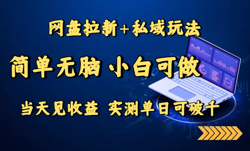 网盘拉新+私域玩法，简单无脑，小白可做，当天见收益，实测单日可破千-hl998