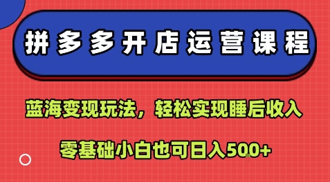 拼多多开店运营课程：蓝海变现玩法，轻松实现睡后收入，零基础小白也可日入5张-hl998