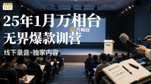 25年1月万相台无界爆款特训营线下录音-hl998