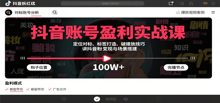 抖音账号盈利实战课，定位对标、标签打造、破播放技巧，讲涨粉变现与场景搭建-hl998