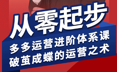 海神·拼多多运营进阶系统课(更新8月)-hl998
