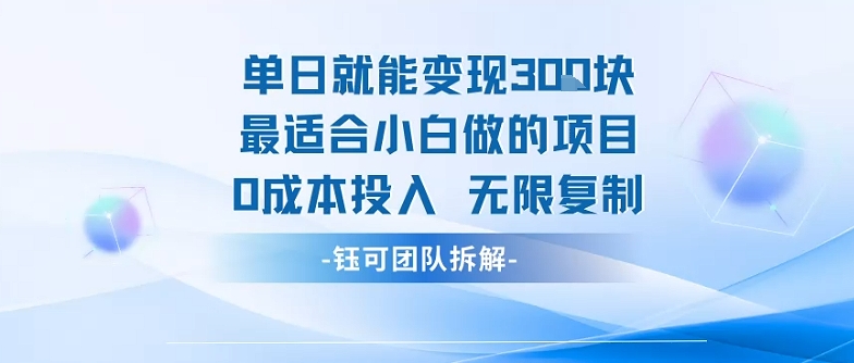 单日就能变现3张最适合小白做的项目0成本投入 无限复制-hl998