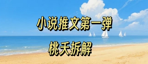 小说推文项目操作全流程第一弹，0粉就能做，门槛低非常适合新手-hl998