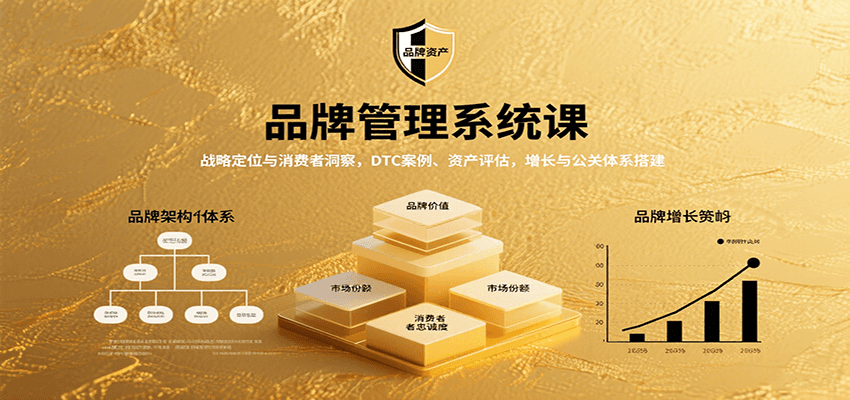 品牌管理系统课：战略定位与消费者洞察，DTC案例、资产评估，增长与公关体系搭建-hl998