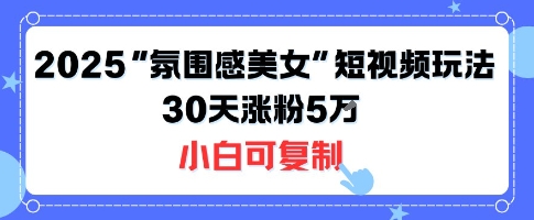 不露脸也能火！2025“氛围感美女”短视频玩法，30天涨粉5W小白可复制-hl998