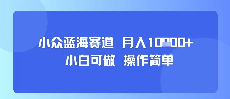 小众蓝海赛道，小白可做，操作简单，每天30分钟，月入1W+-hl998