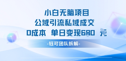 小白无脑项目公域引流私域成交0成本单日变现680米-hl998