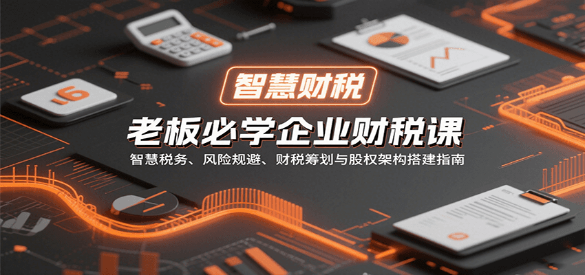 老板必学企业财税课：智慧税务、风险规避、财税筹划与股权架构搭建指南-hl998