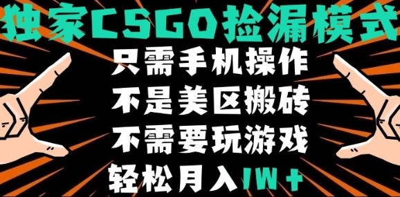 CSGO自动捡漏项目，最新独家玩法，不是美区搬砖，不需要了解和玩游戏，新手小白轻松月入1W+【揭秘】-hl998