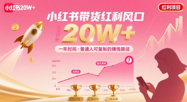 一年时间靠小红书带货项目年入20w+，最不能错的大红利项目-hl998