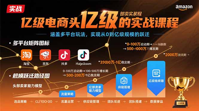 亿级电商头部卖家的实战课程：涵盖多平台玩法，实现从0到亿级规模的跃迁-hl998