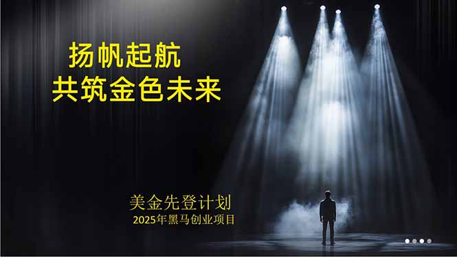 美金对冲创业项目，日收益1000-3000，小众暴力项目稳定运行8年-hl998