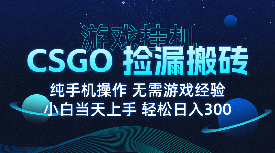 8月最新游戏搬砖，CSGO纯挂机，不需要玩游戏，实现真挂机，月入1W+-hl998