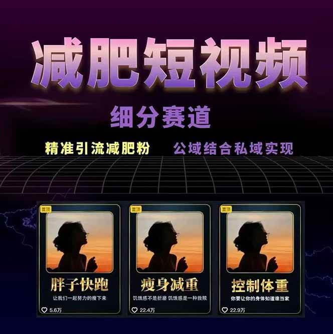 图片[2]-减肥短视频运营实战课：含素材制作、剪映教学，讲精准引流、变现设计与内容模板技巧-hl998