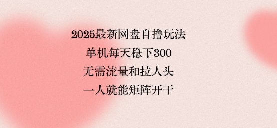 2025最新网盘自撸玩法，单机每天稳下3张，无需流量和拉人头，一个人就可轻松矩阵，全网独一份【揭秘】-hl998