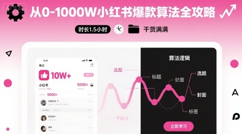 从0-1000W小红书爆款算法全攻略，时长1.5小时，干货满满-hl998