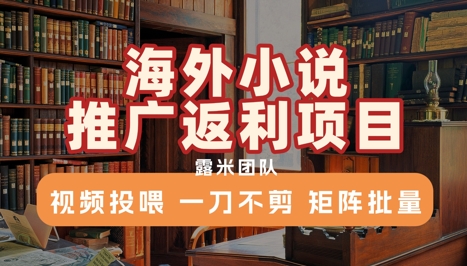 海外小说推广返利项目，视频投喂， 一刀不剪，矩阵批量-hl998