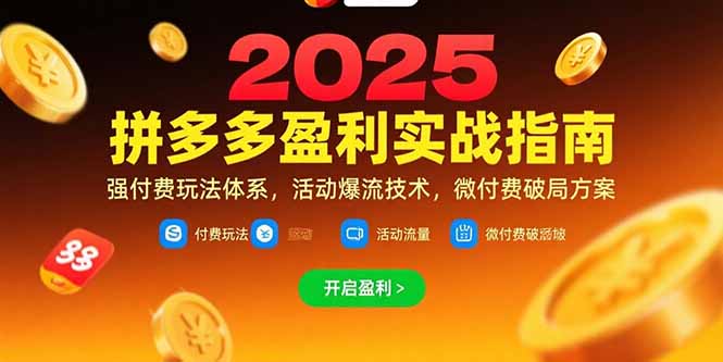 拼多多盈利实战指南，强付费玩法，活动爆流技术，微付费破局方案(更新7月-hl998