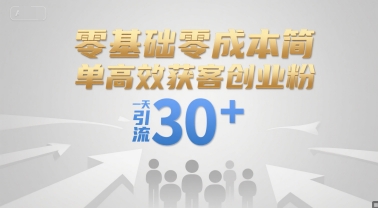 零基础零成本简单高效获客创业粉，一天引流30+-hl998