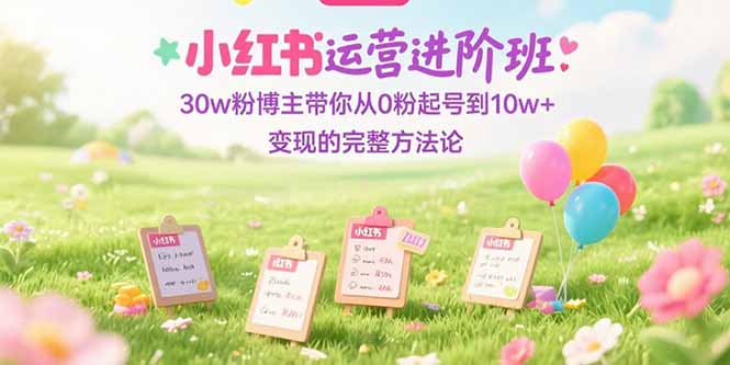 小红书运营进阶班：30w粉博主带你从0粉起号到10w+变现的完整方法论-hl998