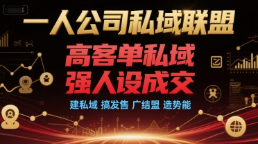 一人公司私域联盟，高客单私域，强人设成交，建私域 搞发售 广结盟 造势能-hl998