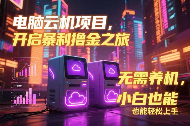 电脑云机项目 暴力撸金玩法，不需要养机 配置没有要求 单机100个窗口一...-hl998