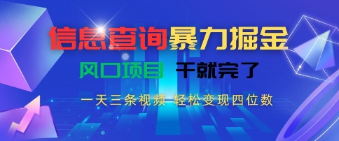 信息查询暴力掘金，一天三条视频，轻松变现四位数，风口项目干就完了【揭秘】-hl998
