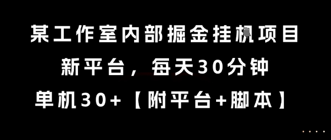 某工作室内部掘金挂G项目，新平台，每天30分钟，单机30+【揭秘】-hl998
