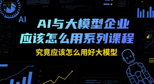 AI与大模型企业应该怎么用系列课程，究竟应该怎么用好大模型-hl998