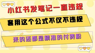 小红书发笔记一直违规，套用这个公式不仅不违规，来的还都是精准的付费粉-hl998