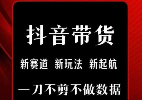 抖音短视频一刀不剪带货，不剪辑，不直播，每天发个视频，等着出单获取带货佣金-hl998