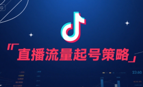 尼采老师·直播流量起号实战课-hl998
