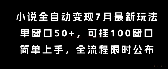 小说全自动变现7月玩法，单窗口50+，可挂100窗口，简单上手，全流程限时公布【揭秘】-hl998