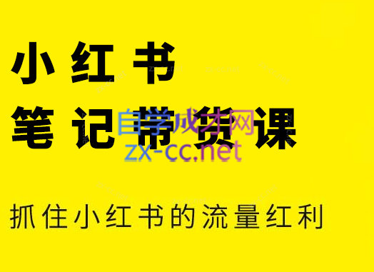 张宾·小红书笔记带货课(更新6月)-hl998