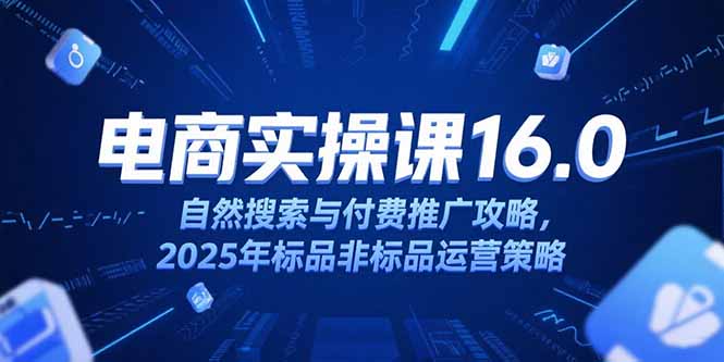 淘宝电商运营课16.0，自然搜索与付费推广攻略，2025年标品非标品运营策略-hl998
