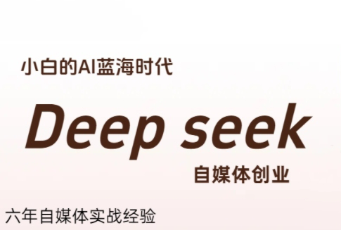 冰冰老师·普通人如何利用Deepseek创业-hl998