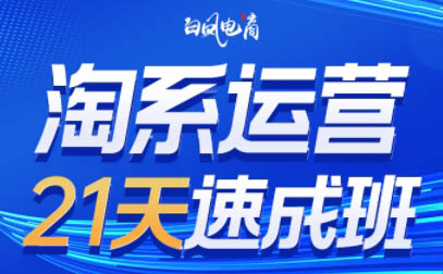 白凤电商·淘系运营21天速成班(更新7月)-hl998