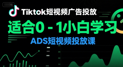 Tiktok短视频广告投放，适合0-1小白学习ADS短视频投放课-hl998