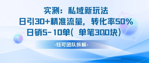实测私域新玩法日引30加精准流量转化率50%日销5-10单每笔3张-hl998