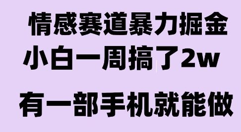 情感暴力掘金项目，新人操作一周挣了2W，长期稳定小白可做【揭秘】-hl998